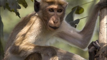 Photo: ${params.title}