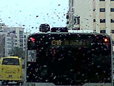 Picture by Celine Fernandes