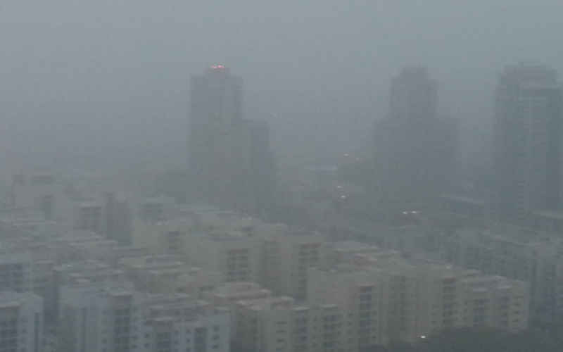 Picture by Majorie Van Leijen