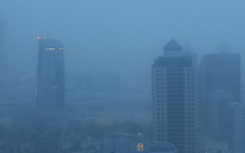 Picture by Majorie Van Leijen