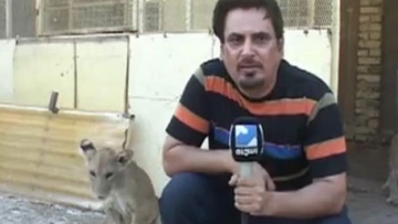 Photo: ${params.title}