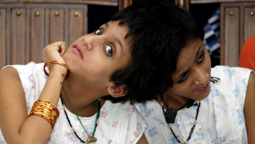 Photo: ${params.title}