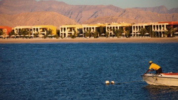 Photo: ${params.title}