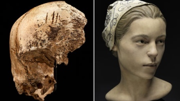 Photo: ${params.title}