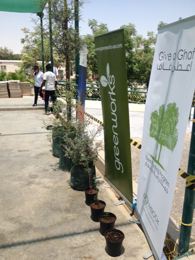 The Dubai Municipality project to increase number of Ghaf trees gets underway. (Supplied)