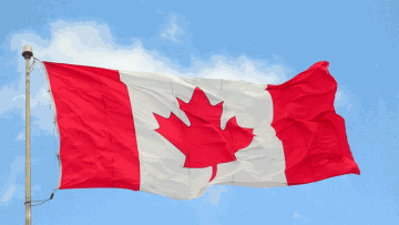 Photo: ${params.title}