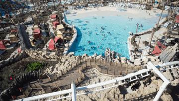 Photo: ${params.title}