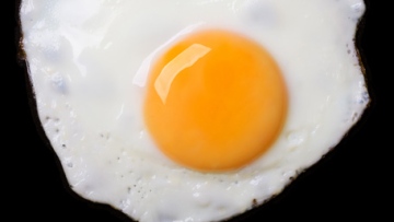 Photo: ${params.title}