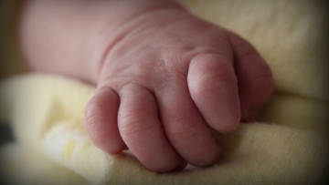 Photo: ${params.title}