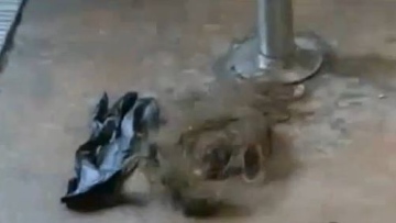 Photo: ${params.title}