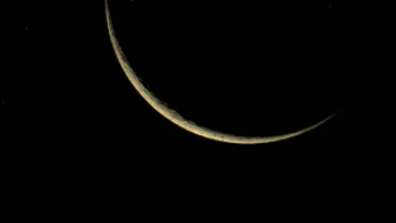 Photo: ${params.title}