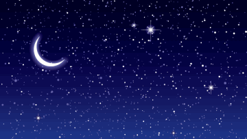 Photo: ${params.title}