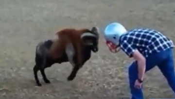 Photo: ${params.title}