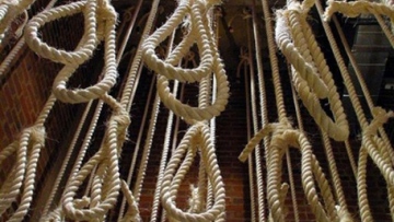 Photo: ${params.title}