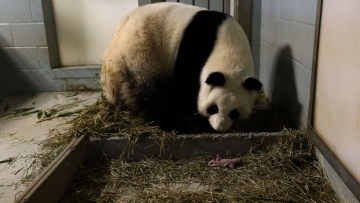 Photo: ${params.title}