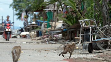 Photo: ${params.title}