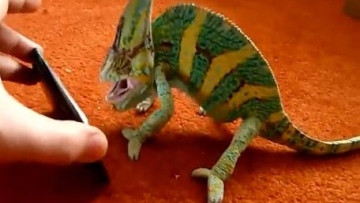 Photo: ${params.title}