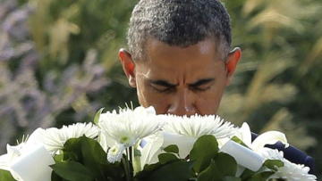 Photo: ${params.title}