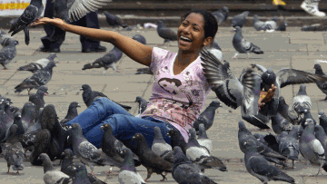 Photo: ${params.title}