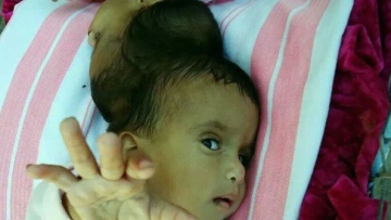 Photo: ${params.title}