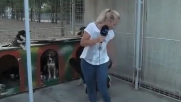 Photo: ${params.title}