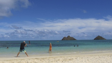 Photo: ${params.title}