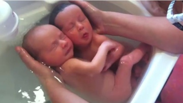 Photo: ${params.title}