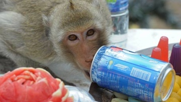 Photo: ${params.title}