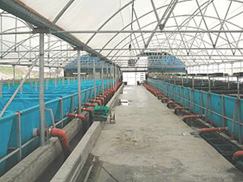 World's biggest fish farm launched in UAE News Emirates Emirates247