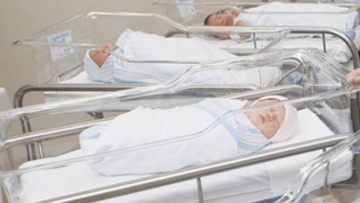 Photo: ${params.title}