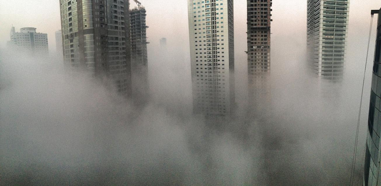 UAE weather warning Heavy fog; visibility drops to 25m in parts