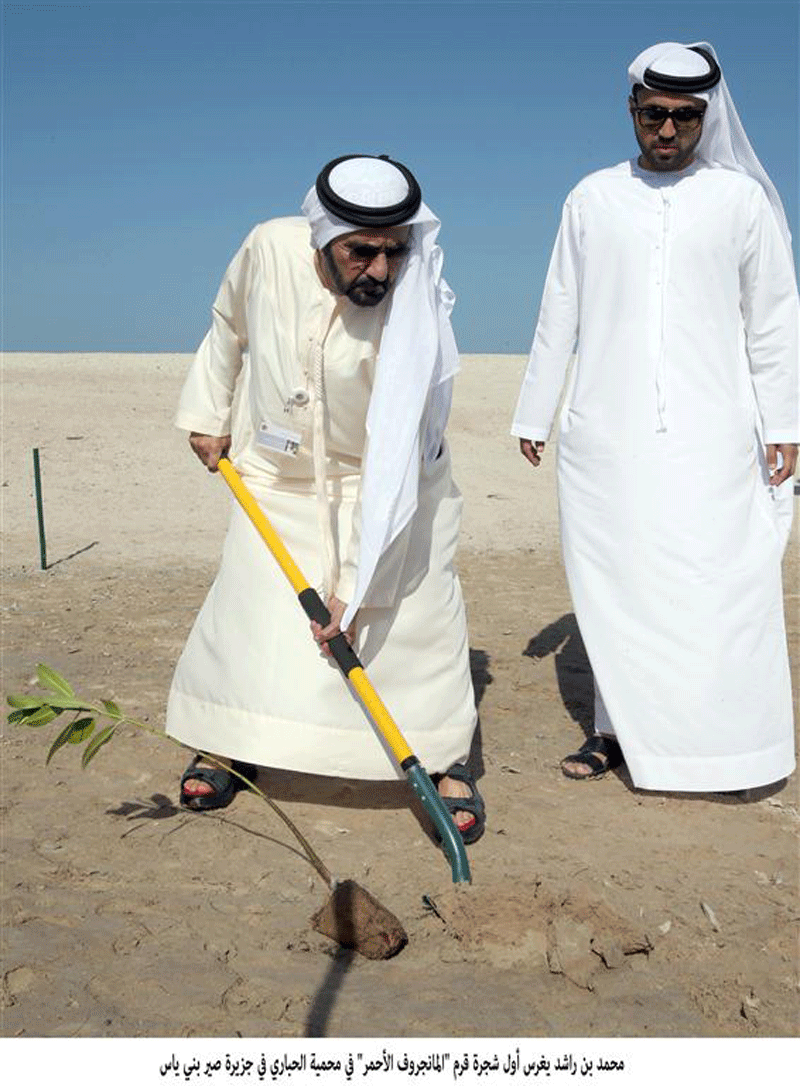 Sheikh Mohammed bin Rashid planting a mangrove tree on Sir Bani Yas Island in Abu Dhabi on Sunday. (Wam)
