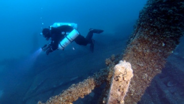 Photo: ${params.title}