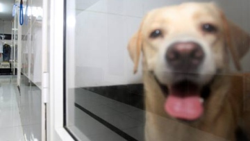 Photo: ${params.title}