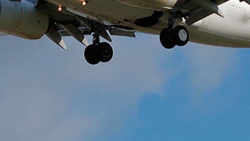 Photo: ${params.title}