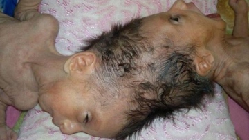 Photo: ${params.title}