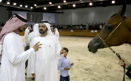 Mohammed attends Dubai International Arabian Horse Championship. (Wam)