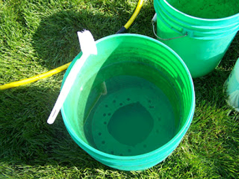 Saudi child drowns in bucket of water News Region Emirates247