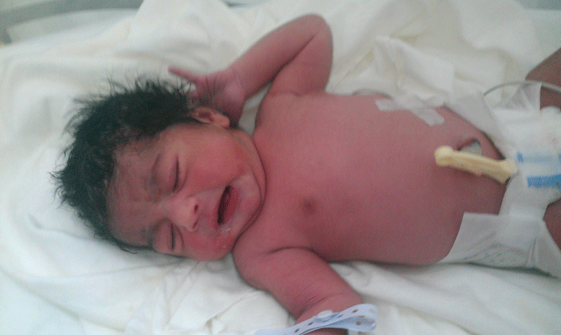 The newborn Nandini
