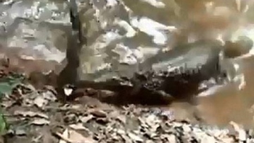 Photo: ${params.title}