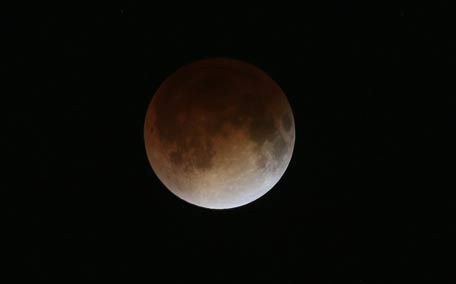 The moon is seen as it nears a total lunar eclipse in Miami, Florida. People in most of north and south America should be able to witness this year's first total lunar eclipse, which will cause a 'blood moon' and is the first of four in a rare Tetrad of eclipses over the next two years. (AFP)