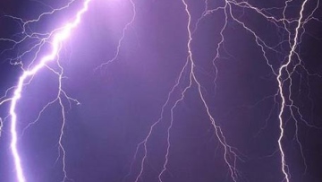 Photo: ${params.title}