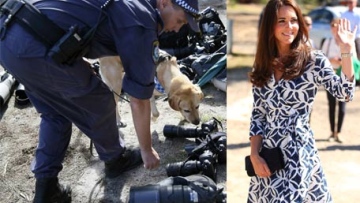 Photo: ${params.title}