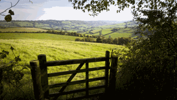 Photo: ${params.title}