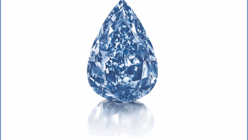 Photo: ${params.title}