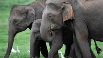 Photo: ${params.title}