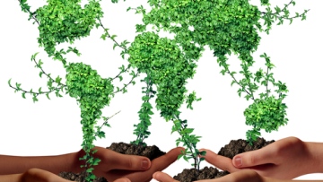 Photo: ${params.title}