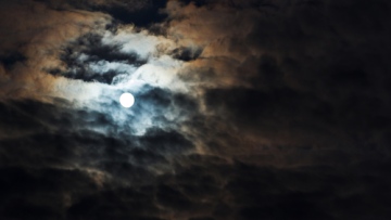 Photo: ${params.title}