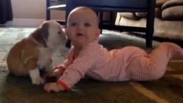 Photo: ${params.title}