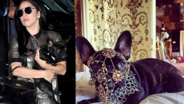 Photo: ${params.title}